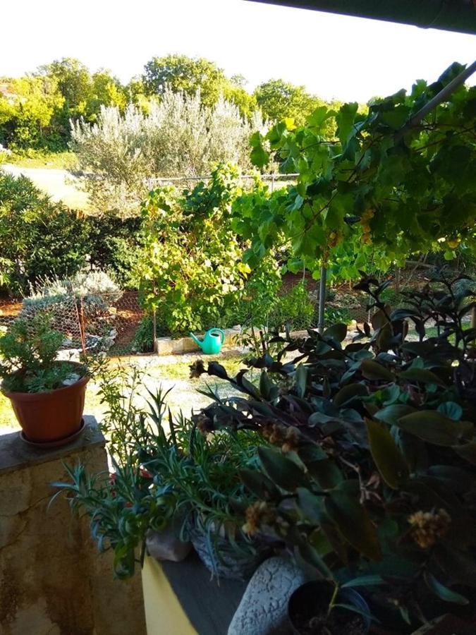Apartman Garma Rovinj Exterior foto