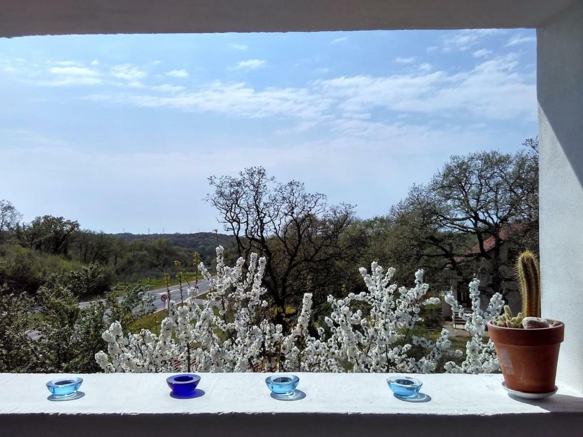 Apartman Garma Rovinj Exterior foto