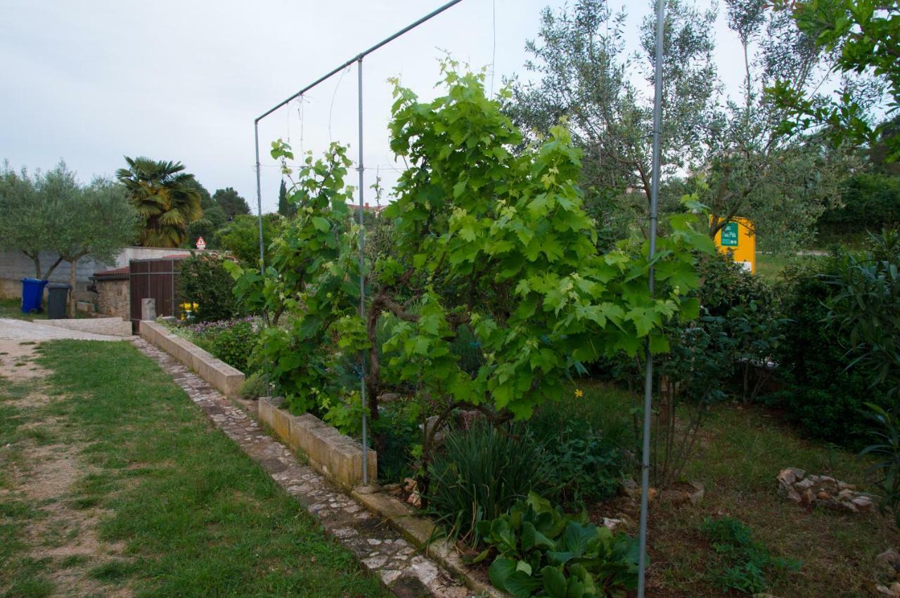 Apartman Garma Rovinj Exterior foto